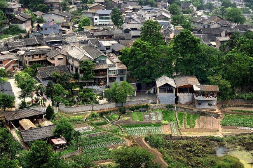文科卫“三下乡” “零距离”暖民心
